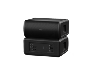 bose sub cardioid 300x213 bose sub cardioid