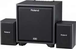 ROLAND  CM-110 Cube monitor