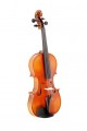 Dowina husle  CV44 komplet-Classico