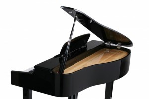 x pro mg rear 300x200 x pro mg rear